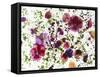 Edible Flowers and Sprouts-Luzia Ellert-Framed Stretched Canvas