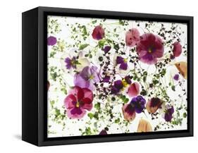 Edible Flowers and Sprouts-Luzia Ellert-Framed Stretched Canvas