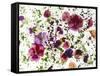 Edible Flowers and Sprouts-Luzia Ellert-Framed Stretched Canvas