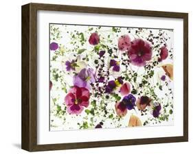 Edible Flowers and Sprouts-Luzia Ellert-Framed Photographic Print