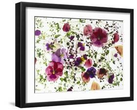 Edible Flowers and Sprouts-Luzia Ellert-Framed Photographic Print