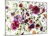 Edible Flowers and Sprouts-Luzia Ellert-Mounted Photographic Print