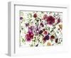 Edible Flowers and Sprouts-Luzia Ellert-Framed Photographic Print