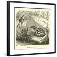 Edible Frog, Rana Esculenta-null-Framed Giclee Print