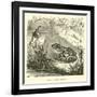 Edible Frog, Rana Esculenta-null-Framed Giclee Print