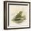 Edible Frog-null-Framed Art Print