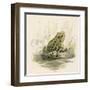 Edible Frog-null-Framed Art Print