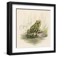 Edible Frog-null-Framed Art Print