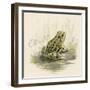 Edible Frog-null-Framed Art Print