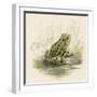 Edible Frog-null-Framed Art Print