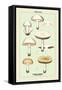 Edible Fungi: Common Mushroom-null-Framed Stretched Canvas