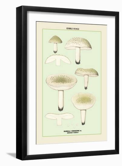 Edible Fungi: Greenish Russula-null-Framed Art Print