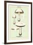 Edible Fungi: Horse Mushroom-null-Framed Art Print