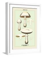 Edible Fungi: Horse Mushroom-null-Framed Art Print