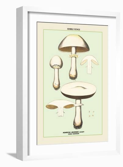 Edible Fungi: Horse Mushroom-null-Framed Art Print