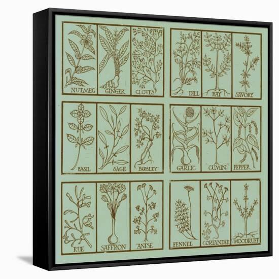 Edible herbs-Science Source-Framed Stretched Canvas