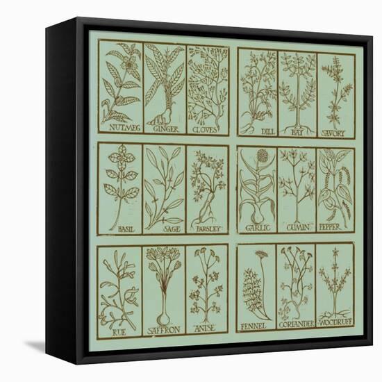 Edible herbs-Science Source-Framed Stretched Canvas