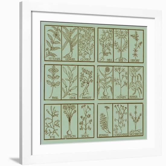 Edible herbs-Science Source-Framed Giclee Print