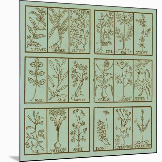 Edible herbs-Science Source-Mounted Giclee Print