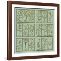 Edible herbs-Science Source-Framed Giclee Print