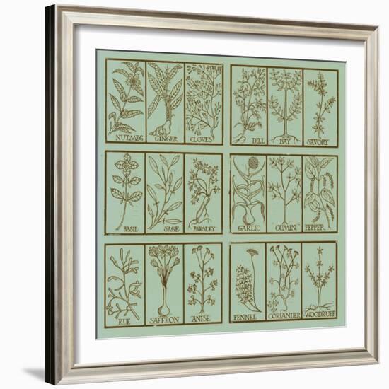 Edible herbs-Science Source-Framed Giclee Print