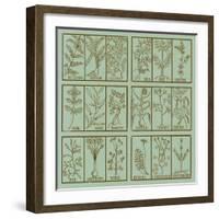 Edible herbs-Science Source-Framed Giclee Print