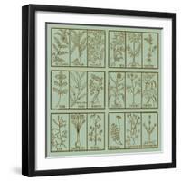 Edible herbs-Science Source-Framed Giclee Print