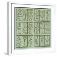 Edible herbs-Science Source-Framed Giclee Print