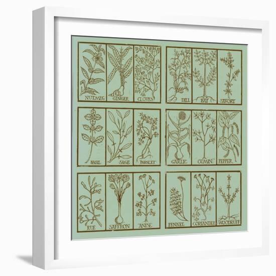 Edible herbs-Science Source-Framed Giclee Print