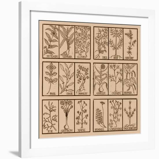 Edible herbs-Science Source-Framed Giclee Print