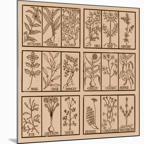 Edible herbs-Science Source-Mounted Giclee Print