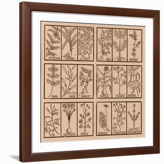 Edible herbs-Science Source-Framed Giclee Print