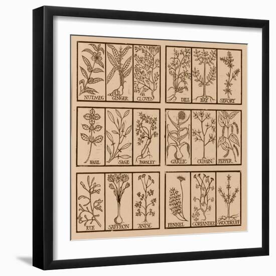 Edible herbs-Science Source-Framed Giclee Print