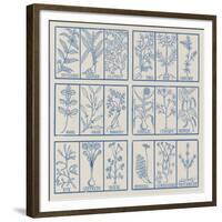 Edible herbs-Science Source-Framed Giclee Print