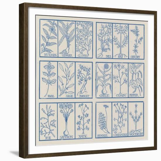 Edible herbs-Science Source-Framed Giclee Print