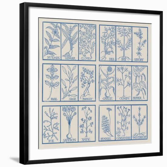 Edible herbs-Science Source-Framed Giclee Print