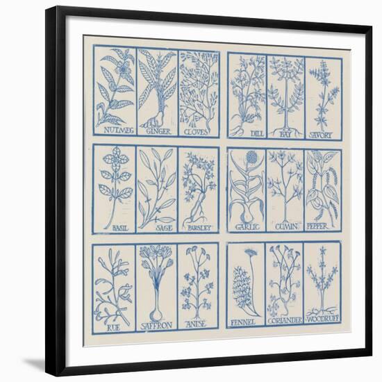 Edible herbs-Science Source-Framed Giclee Print