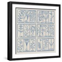 Edible herbs-Science Source-Framed Giclee Print