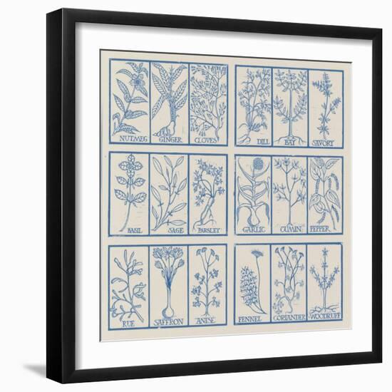 Edible herbs-Science Source-Framed Giclee Print