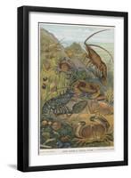 Edible Shellfish-null-Framed Art Print