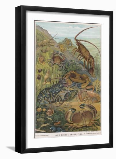 Edible Shellfish-null-Framed Art Print