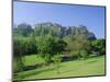 Edinburgh Castle and Gardens, Edinburgh, Lothian, Scotland, UK, Europe-Roy Rainford-Mounted Photographic Print