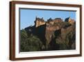Brown Frame