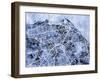 Edinburgh City Street Map-Michael Tompsett-Framed Art Print