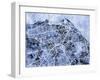 Edinburgh City Street Map-Michael Tompsett-Framed Art Print