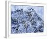 Edinburgh City Street Map-Michael Tompsett-Framed Art Print