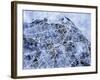 Edinburgh City Street Map-Michael Tompsett-Framed Art Print