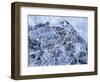 Edinburgh City Street Map-Michael Tompsett-Framed Art Print