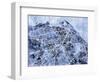 Edinburgh City Street Map-Michael Tompsett-Framed Art Print