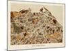 Edinburgh Street Map-Michael Tompsett-Mounted Art Print